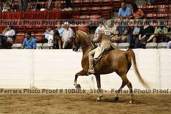 Proof 10buck_3106