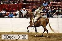10buck_3106 proof