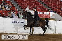 10buck_3107 proof