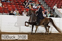 10buck_3108 proof