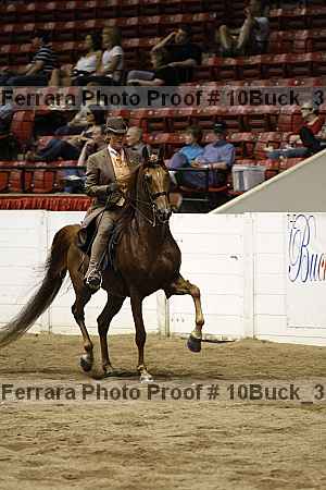 Proof 10buck_3109