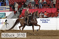 10buck_3110 proof