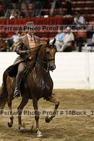 Proof 10buck_3111