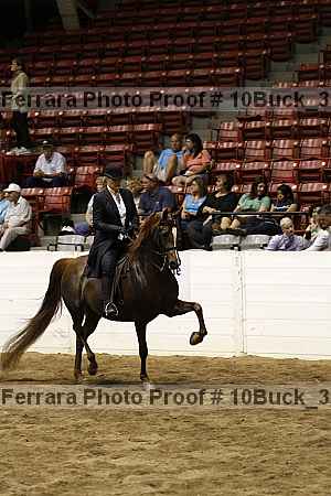 Proof 10buck_3113