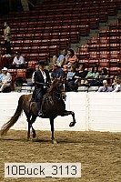 10buck_3113 proof