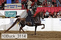 10buck_3114 proof