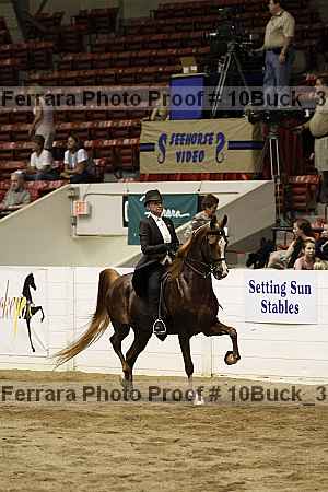 Proof 10buck_3116