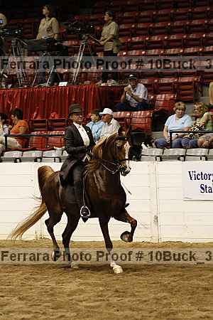 Proof 10buck_3117