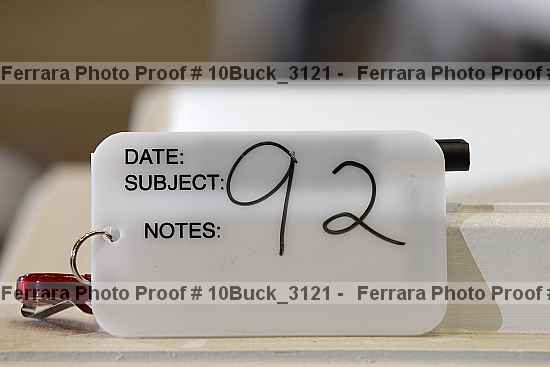 Proof 10buck_3121