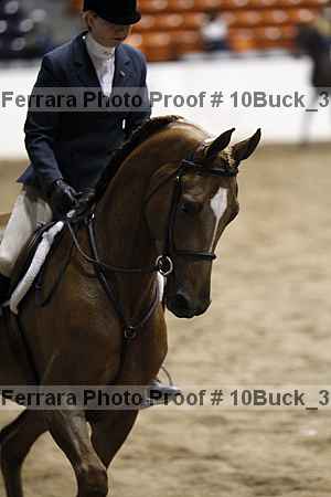 Proof 10buck_3127