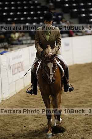 Proof 10buck_3134