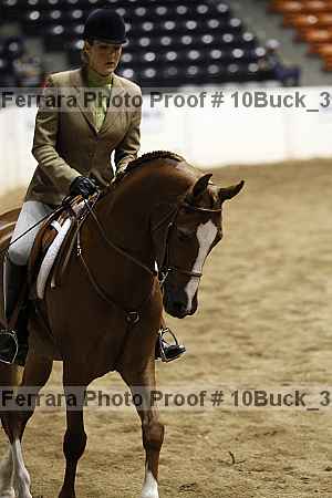 Proof 10buck_3136