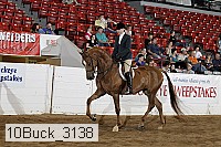 10buck_3138 proof