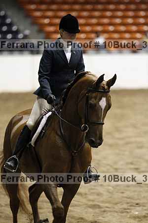 Proof 10buck_3139