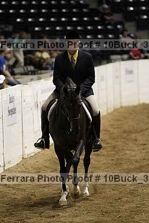Proof 10buck_3140