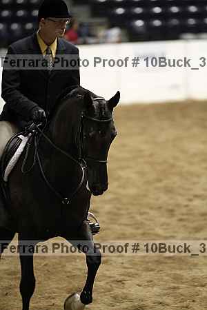 Proof 10buck_3141