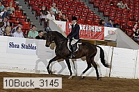 10buck_3145 proof