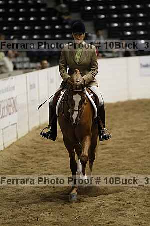 Proof 10buck_3146