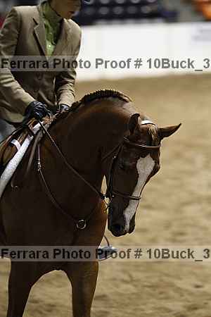 Proof 10buck_3147