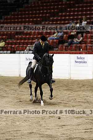 Proof 10buck_3148