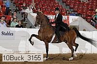 10buck_3155 proof