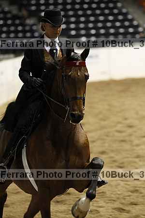 Proof 10buck_3156