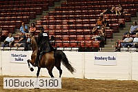 10buck_3160 proof