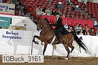 10buck_3161 proof