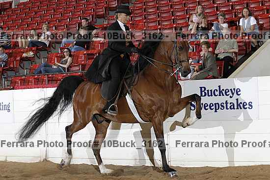 Proof 10buck_3162