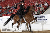 10buck_3162 proof