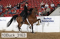 10buck_3163 proof