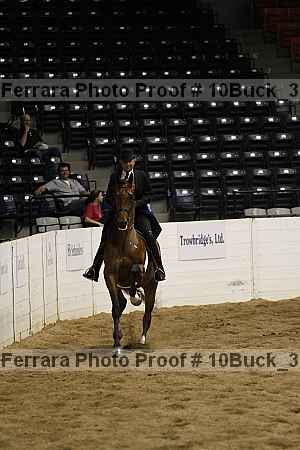 Proof 10buck_3164