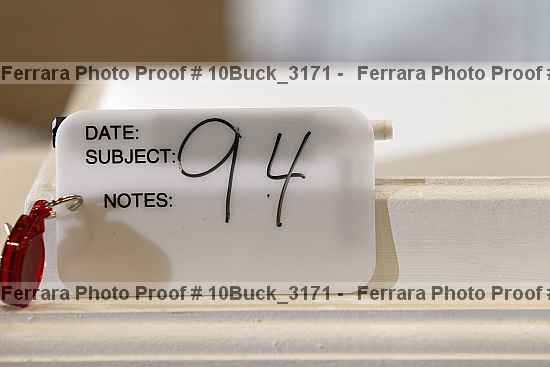 Proof 10buck_3171