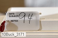 10buck_3171 proof