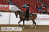 10buck_3177 proof