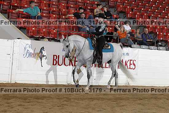 Proof 10buck_3179