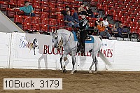 10buck_3179 proof