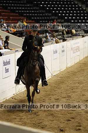 Proof 10buck_3187