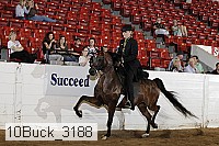 10buck_3188 proof