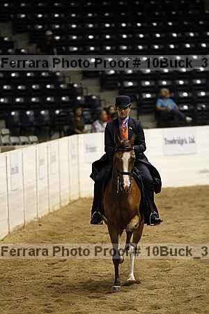 Proof 10buck_3189