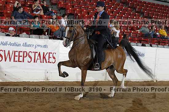 Proof 10buck_3190
