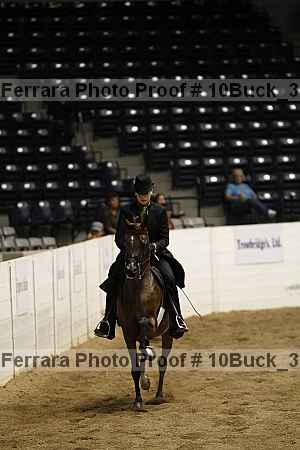 Proof 10buck_3193
