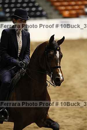 Proof 10buck_3195