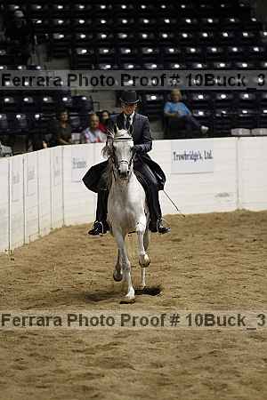 Proof 10buck_3196