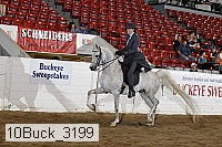 10buck_3199 proof
