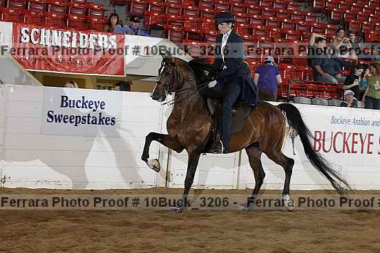 Proof 10buck_3206