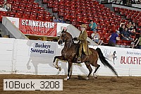 10buck_3208 proof