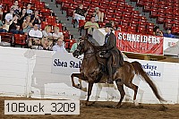 10buck_3209 proof