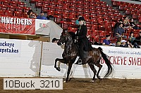 10buck_3210 proof
