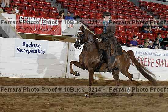 Proof 10buck_3214